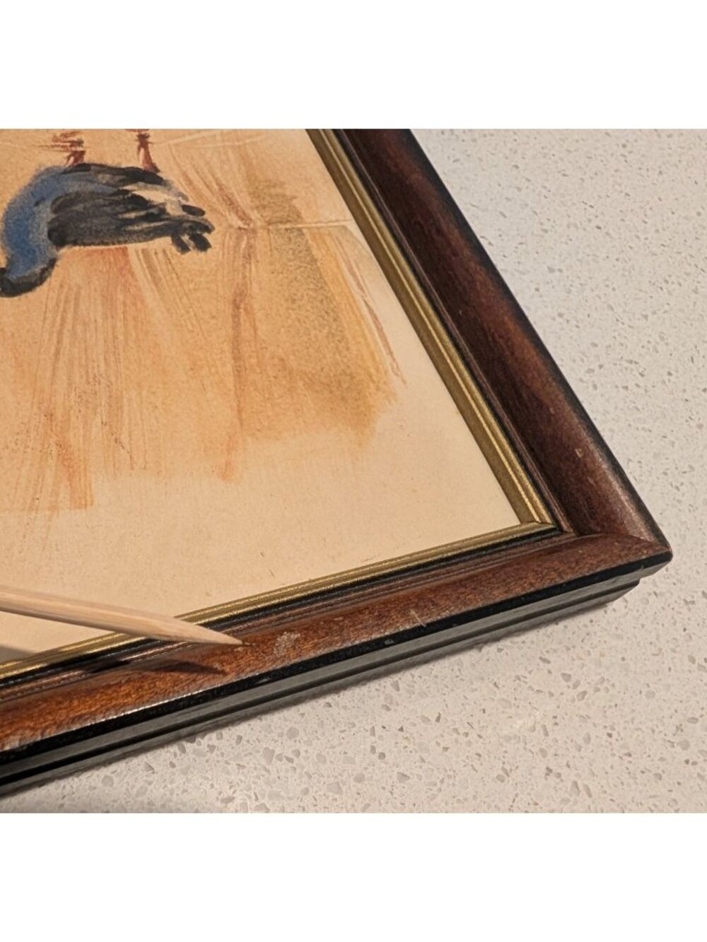 New Zealand Pukeko Artwork John Brasell in Wood Frame Minor Flaws 8.5 x 6 in - Picture 11 of 15